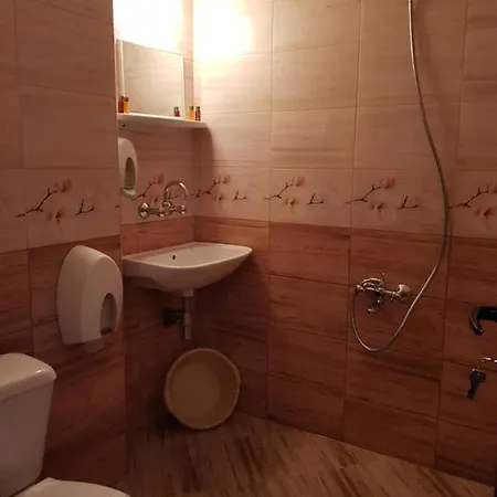 בית הארחה Slantse 3*