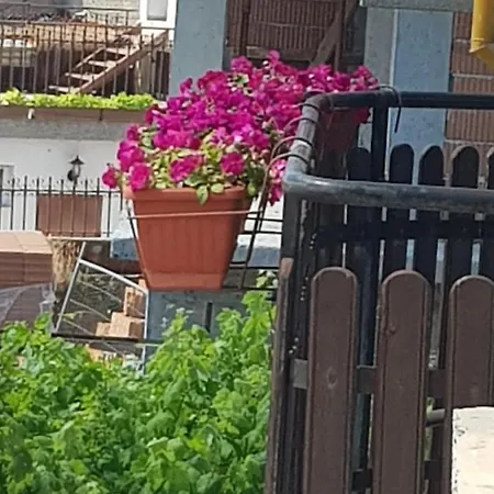 Slantse * سوزوبول